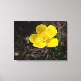 Gelbe Gartenanlage Blume Leinwanddruck