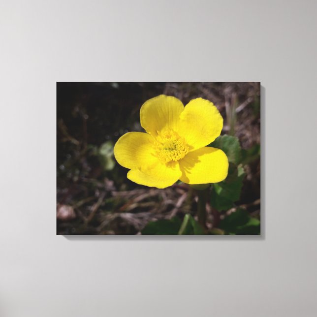 Gelbe Gartenanlage Blume Leinwanddruck (Vorderseite)