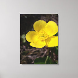 Gelbe Gartenanlage Blume Leinwanddruck