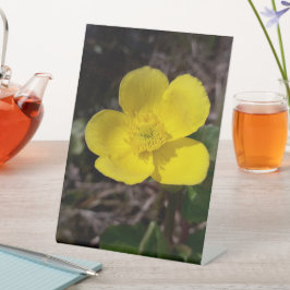 Gelbe Gartenanlage Blume Sockelschild