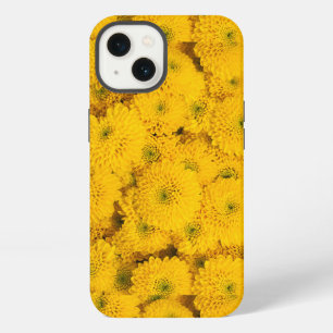Gelbe Gartenastere Mums chrysanthemums Blume iPhone 13 Hülle