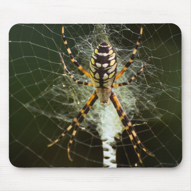 Gelbe Gartenspinne Mousepad (Vorne)