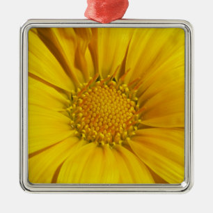 Gelbe Gazanie Silbernes Ornament