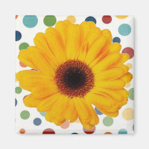 Gelbe Gerber-Daisy Magnet