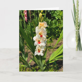 Gelbe Gladiole in meinem Garten Karte