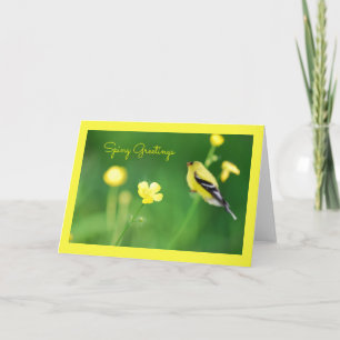 Gelbe Goldfinch-Grußkarte Karte