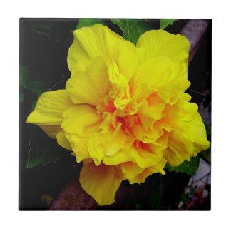 Gelbe Granatapfel-Blume Fliese