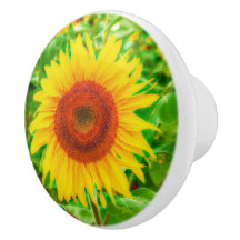 Gelbe grüne Blütenblume
