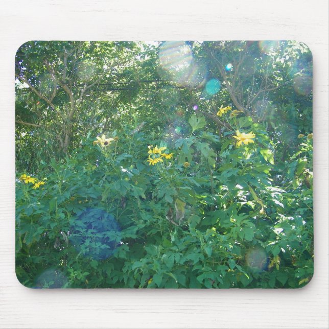 Gelbe hawaiische Wildblumen von Kauai Hawaii Mousepad (Vorne)