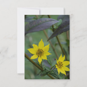 Gelbe Herbstblume Mitteilungskarte