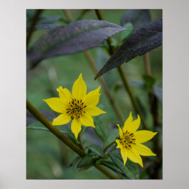 Gelbe Herbstblume Poster