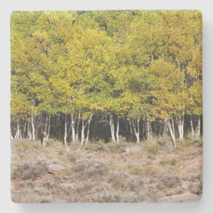 Gelbe Herbstlaube in Colorado, Stone Untersetzer