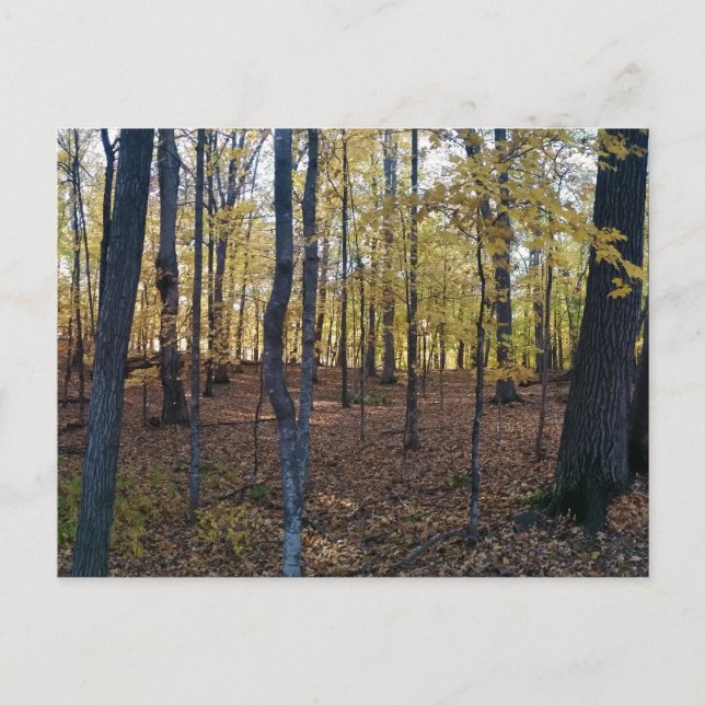 Gelbe Herbstpostkarte Postkarte (Vorderseite)