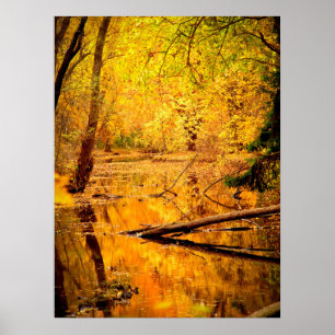 Gelbe Herbstwald Print Poster - Kunst-Mural
