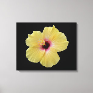 Gelbe Hibiskus Blume gezackte Canvas Leinwanddruck