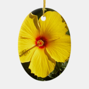 Gelbe Hibiskus Blume Keramikornament