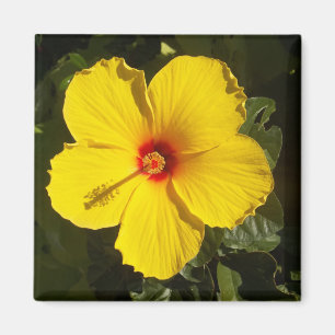 Gelbe Hibiskus Blume Magnet