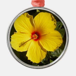 Gelbe Hibiskus Blume Silbernes Ornament