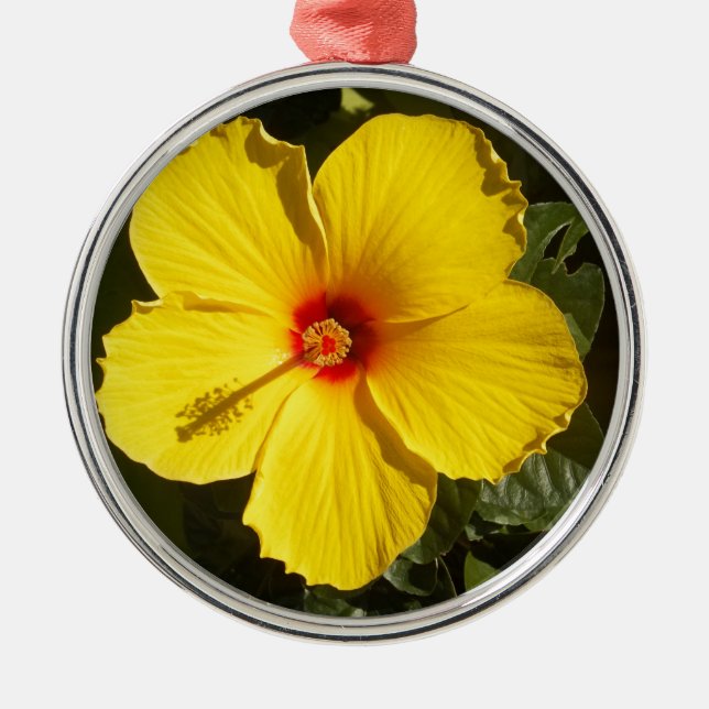 Gelbe Hibiskus Blume Silbernes Ornament (Vorne)
