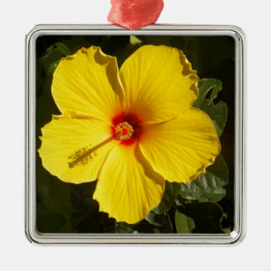 Gelbe Hibiskus Blume Silbernes Ornament