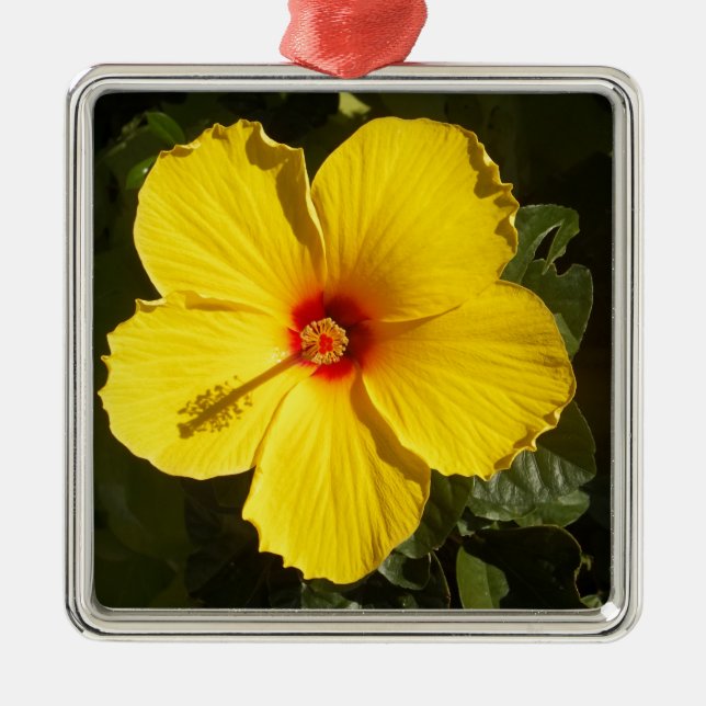 Gelbe Hibiskus Blume Silbernes Ornament (Vorne)