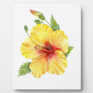 Gelbe Hibiskus-Botanik-Kunst Fotoplatte