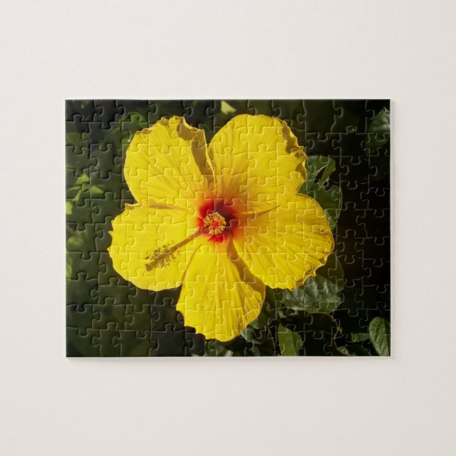 Gelbe Hibiskusblüte Puzzle (Horizontal)
