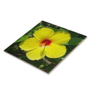 Gelbe Hibiskusfliese Fliese