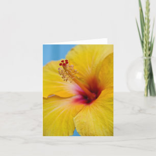 Gelbe Hybiscus Blume Notecard Karte