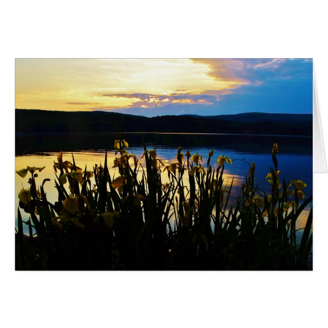 Gelbe Iris am Ufer des Arrowhad-Sees (Vorderseite (Horizontal))