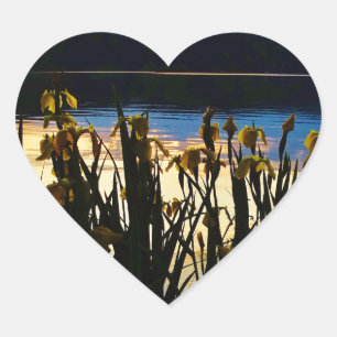 Gelbe Iris am Ufer des Arrowhad-Sees Herz-Aufkleber