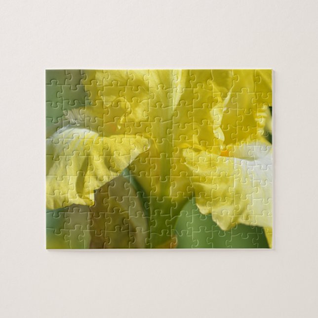 Gelbe Iris-Blume Puzzle (Horizontal)