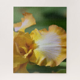 Gelbe Iris-Blume Puzzle