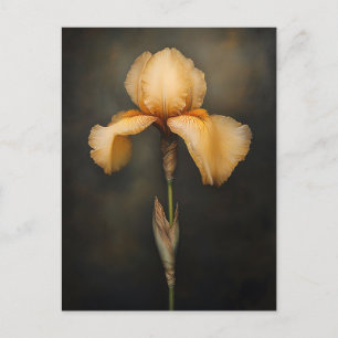 Gelbe Iris-Botanikmalerei Postkarte