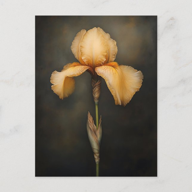 Gelbe Iris-Botanikmalerei Postkarte (Vorderseite)