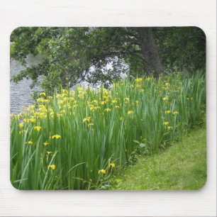 Gelbe Iris Mousepad