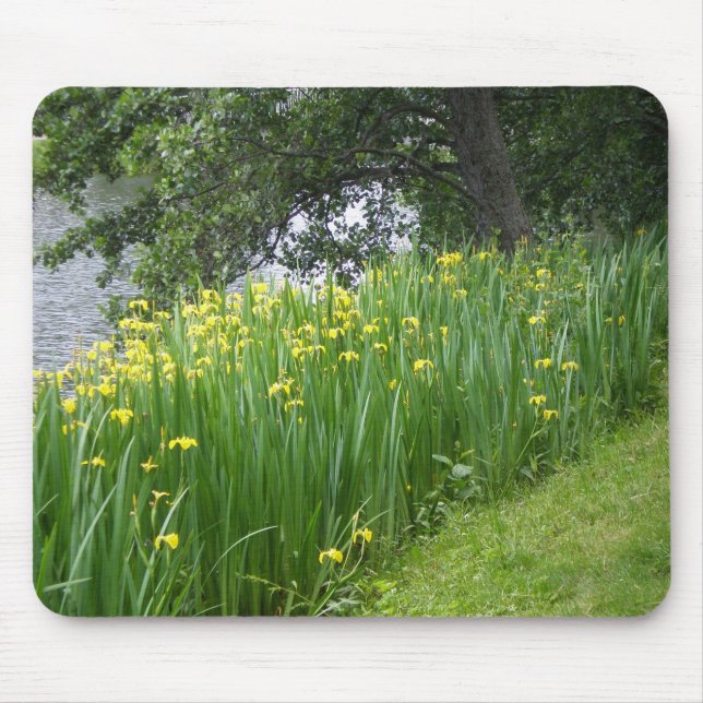 Gelbe Iris Mousepad (Vorne)