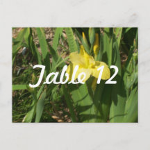 Gelbe Iris-Tischnummer