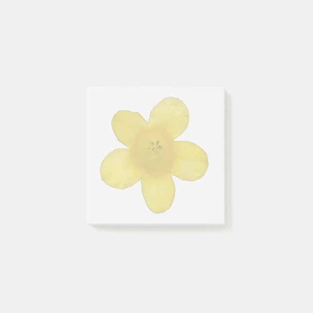 Gelbe Jasmin-Klebezettel Post-it Klebezettel (Vorderseite)