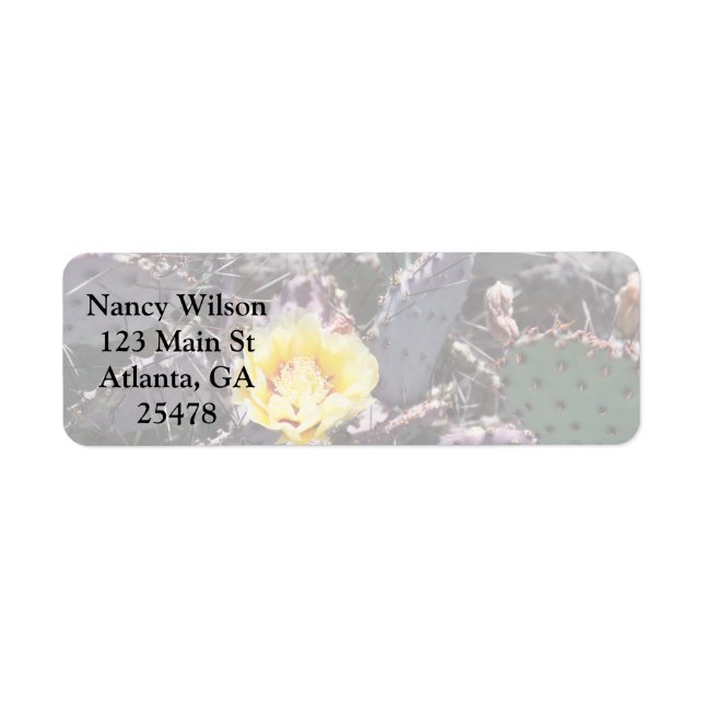 Gelbe Kakteen-Blume im April (Vorne)