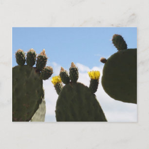 Gelbe Kaktus-Blume Postkarte
