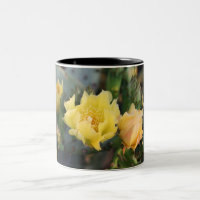Gelbe Kaktus Blume Tasse