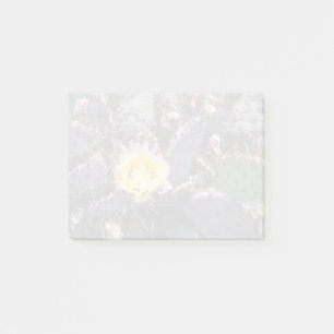 Gelbe Kaktusblüte im Frühling Post-it Klebezettel