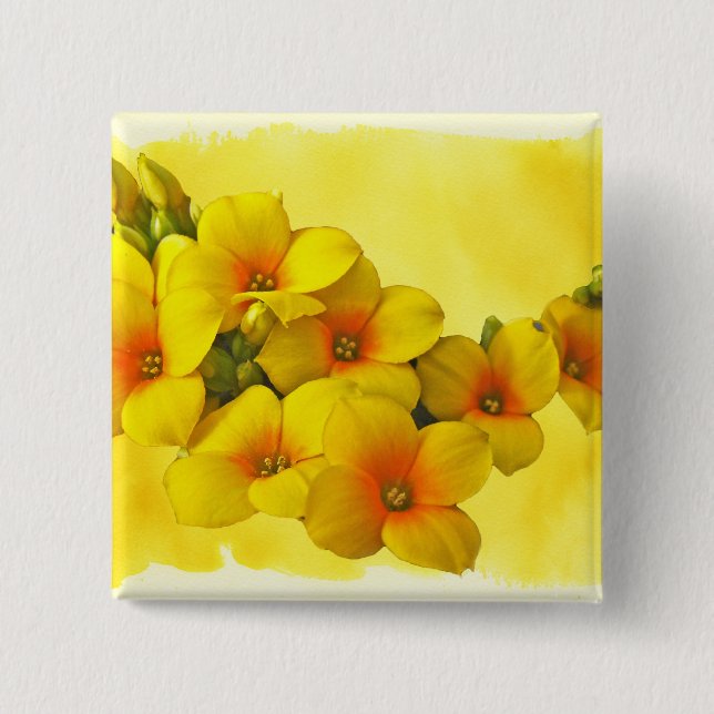 Gelbe Kalanchoe - Sukkulenter Sonnenschein Button (Vorderseite)