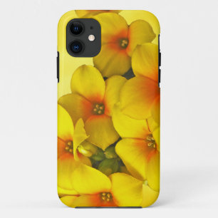 Gelbe Kalanchoe - Sukkulenter Sonnenschein Case-Mate iPhone Hülle