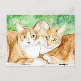 Gelbe Katze Schwestern Original Postkarte