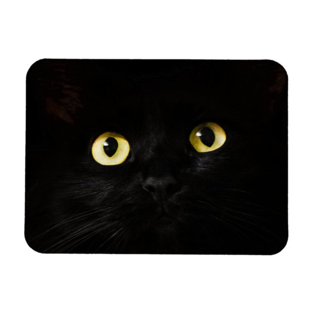 Gelbe Katzenaugen, schwarze Katze, schwarzer Hinte Magnet (Horizontal)