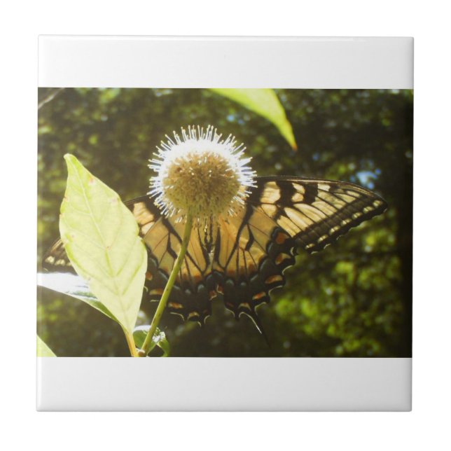 Gelbe Keramik Fliese (Vorderseite)