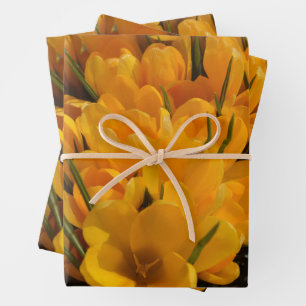 Gelbe Kreuze - glückliche Blumenheralden des Frühl Geschenkpapier Set