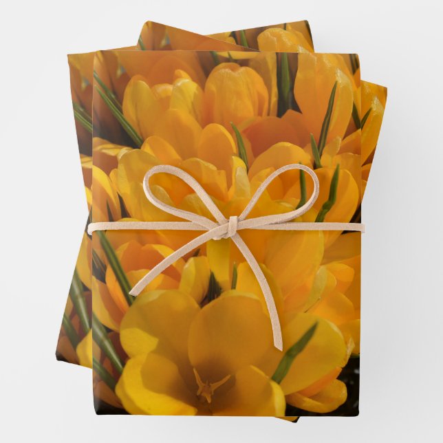 Gelbe Kreuze - glückliche Blumenheralden des Frühl Geschenkpapier Set (Beispiel)